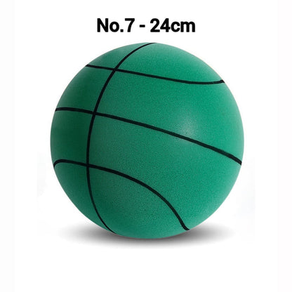Silent Basketball SilentDribble™